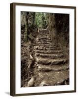 Steps on the Inca Trail, Peru, South America-Rob Cousins-Framed Photographic Print