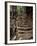 Steps on the Inca Trail, Peru, South America-Rob Cousins-Framed Photographic Print