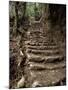 Steps on the Inca Trail, Peru, South America-Rob Cousins-Mounted Photographic Print