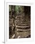 Steps on the Inca Trail, Peru, South America-Rob Cousins-Framed Photographic Print