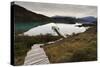 Steps to Boatdock and Reflections in Lago Pehoe-Eleanor-Stretched Canvas