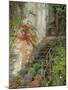 Steps to La Forge Home, Burgundy, France-Lisa S. Engelbrecht-Mounted Photographic Print