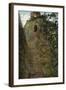 Steps to the Keep, Carisbrooke Castle-null-Framed Photographic Print