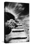 Steps Up to Queribus Castle, Languedoc, France-Simon Marsden-Stretched Canvas