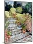 Steps up to the Garden,2014-Joan Thewsey-Mounted Giclee Print