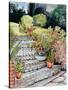 Steps up to the Garden,2014-Joan Thewsey-Stretched Canvas