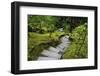 Steps, Wild Garden, Portland Japanese Garden, Portland, Oregon, Usa-Michel Hersen-Framed Photographic Print