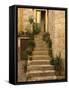 Steps with plants outside historic stone house, Trogir, Dalamatia, Croatia-Merrill Images-Framed Stretched Canvas