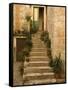 Steps with plants outside historic stone house, Trogir, Dalamatia, Croatia-Merrill Images-Framed Stretched Canvas