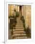 Steps with plants outside historic stone house, Trogir, Dalamatia, Croatia-Merrill Images-Framed Photographic Print