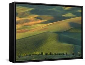 Steptoe Butte, Palouse, Whitman County, Washington, USA-Charles Gurche-Framed Stretched Canvas