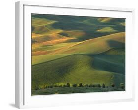 Steptoe Butte, Palouse, Whitman County, Washington, USA-Charles Gurche-Framed Photographic Print