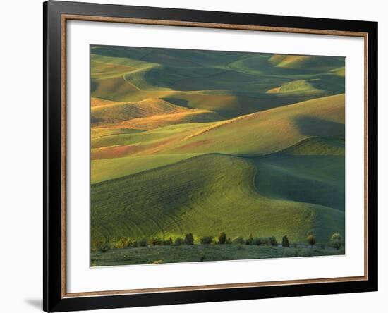 Steptoe Butte, Palouse, Whitman County, Washington, USA-Charles Gurche-Framed Photographic Print