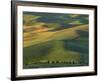 Steptoe Butte, Palouse, Whitman County, Washington, USA-Charles Gurche-Framed Photographic Print