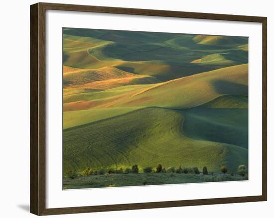 Steptoe Butte, Palouse, Whitman County, Washington, USA-Charles Gurche-Framed Photographic Print