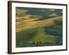 Steptoe Butte, Palouse, Whitman County, Washington, USA-Charles Gurche-Framed Photographic Print