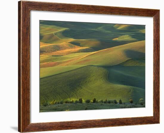 Steptoe Butte, Palouse, Whitman County, Washington, USA-Charles Gurche-Framed Photographic Print