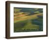 Steptoe Butte, Palouse, Whitman County, Washington, USA-Charles Gurche-Framed Photographic Print