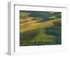 Steptoe Butte, Palouse, Whitman County, Washington, USA-Charles Gurche-Framed Photographic Print