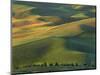 Steptoe Butte, Palouse, Whitman County, Washington, USA-Charles Gurche-Mounted Photographic Print