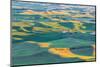 Steptoe Butte State Park, Washington. Sunset view of wheat farms in the rolling Palouse hills.-Emily Wilson-Mounted Photographic Print