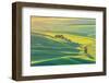 Steptoe Butte State Park, Washington. Sunset view of wheat fields in the rolling Palouse hills-Emily Wilson-Framed Photographic Print