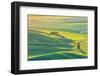 Steptoe Butte State Park, Washington. Sunset view of wheat fields in the rolling Palouse hills-Emily Wilson-Framed Photographic Print