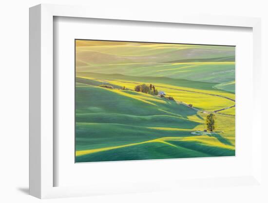 Steptoe Butte State Park, Washington. Sunset view of wheat fields in the rolling Palouse hills-Emily Wilson-Framed Photographic Print