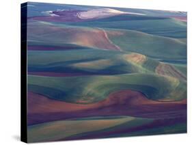 Steptoe Butte State Park, Washington, USA,-Gavriel Jecan-Stretched Canvas