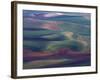 Steptoe Butte State Park, Washington, USA,-Gavriel Jecan-Framed Photographic Print