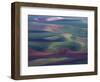 Steptoe Butte State Park, Washington, USA,-Gavriel Jecan-Framed Photographic Print