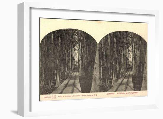 Stereo Blick Auf Eine Waldbahn Im Orangenhain-null-Framed Giclee Print