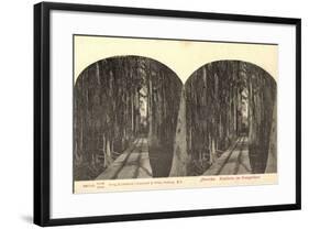 Stereo Blick Auf Eine Waldbahn Im Orangenhain-null-Framed Giclee Print