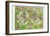 Stereographic World Map with Insets of Polar Projections-Vincenzo Coronelli-Framed Art Print