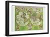 Stereographic World Map with Insets of Polar Projections-Vincenzo Coronelli-Framed Art Print