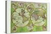 Stereographic World Map with Insets of Polar Projections-Vincenzo Coronelli-Stretched Canvas