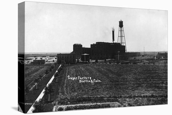 Sterling, Colorado - Sugar Factory-Lantern Press-Stretched Canvas