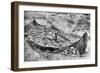 Stern View of the Oseberg Viking Ship after Months of Excavation, Norway, C1904-1905-null-Framed Giclee Print