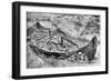 Stern View of the Oseberg Viking Ship after Months of Excavation, Norway, C1904-1905-null-Framed Giclee Print