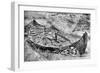 Stern View of the Oseberg Viking Ship after Months of Excavation, Norway, C1904-1905-null-Framed Giclee Print