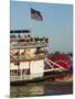 Sternwheeler on the Mississippi River, New Orleans, Louisiana, USA-Ethel Davies-Mounted Photographic Print