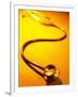 Stethoscope on Yellow Surface-null-Framed Photographic Print