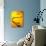 Stethoscope on Yellow Surface-null-Photographic Print displayed on a wall