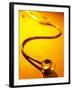 Stethoscope on Yellow Surface-null-Framed Photographic Print