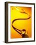 Stethoscope on Yellow Surface-null-Framed Photographic Print