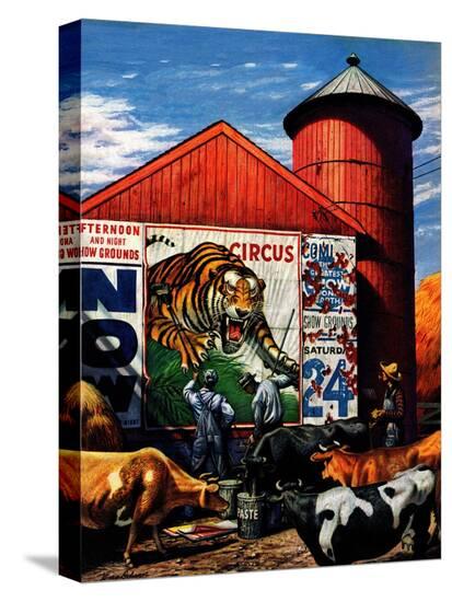 Stretched Canvas Print, , large