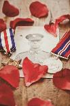 Photograph of Soldier in Uniform-Steve Allsopp-Laminated Photographic Print