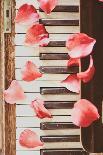 Red Petals on a Piano-Steve Allsopp-Photographic Print