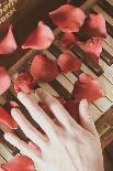 Red Petals on a Piano-Steve Allsopp-Photographic Print