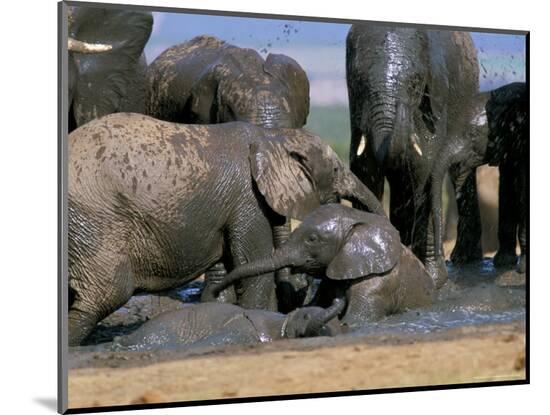 Photographic Print, , large